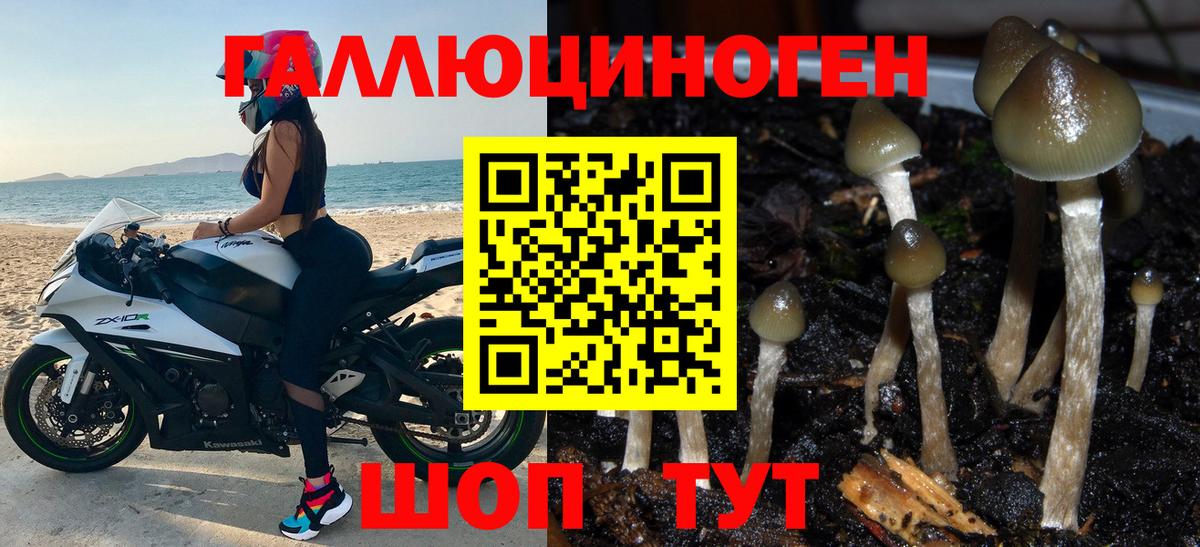 Горячий Ключ  магазин продажи наркотиков  Вход с VPN  Псилоцибиновые грибы Psilocybine cubensis 
